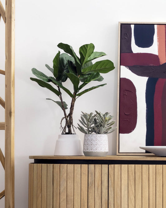 Plante artificielle Lyrata de 60 cm