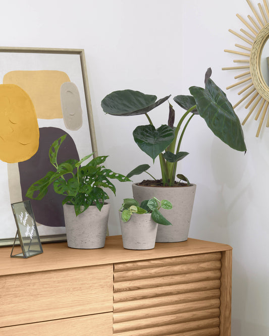 Set Low de 3 cachepots gris Ø 23,5 cm / Ø 16,5 cm / Ø 14 cm