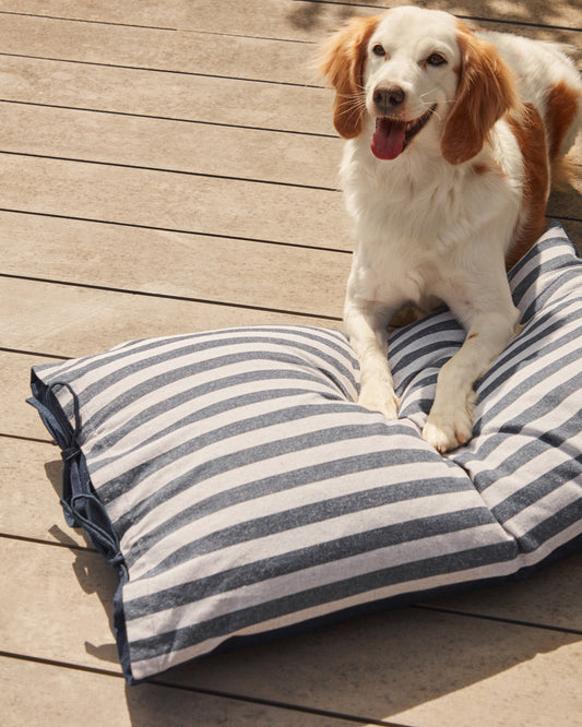 Coussin Tabby 100% coton avec rayures gris et bleu 50 x 80 cm