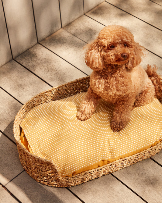 Panier pour chien ou chat Fliicker petit format en fibres naturelles Ø 60 x 35 cm