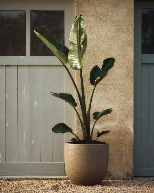 Ensemble de 2 cache-pots Selvi avec effet pierre marron clair Ø 37 cm