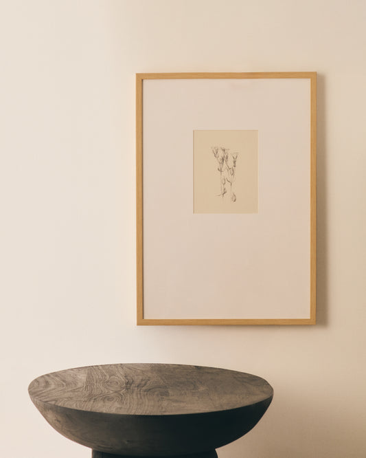 Tableau Lirena illustration botanique 50 x 70 cm