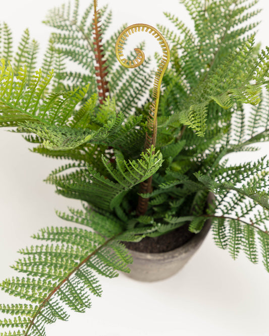 Plante artificielle Fougère