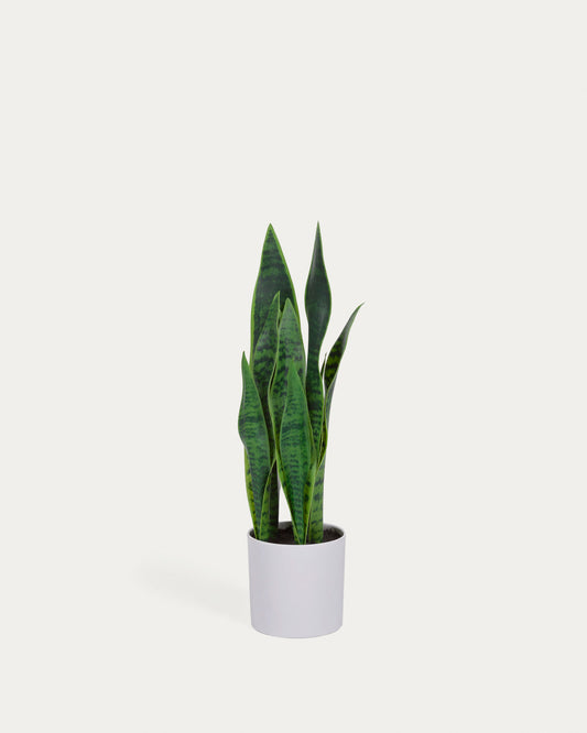 Plante artificielle Sansevieria avec pot blanc 55 cm