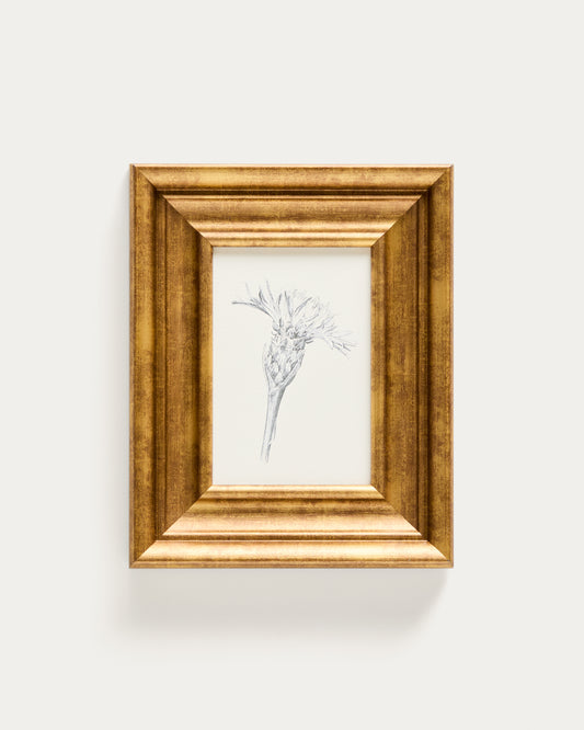 Tableau Yalira illustration botanique 33 x 41 cm