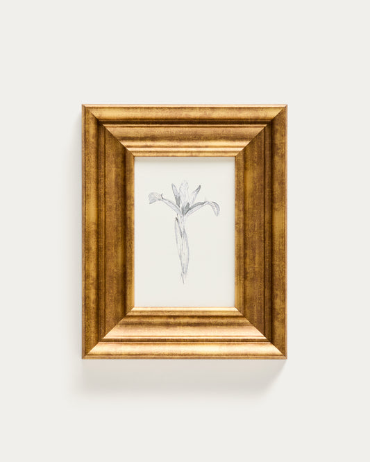 Tableau Yalira illustration botanique 33 x 41 cm