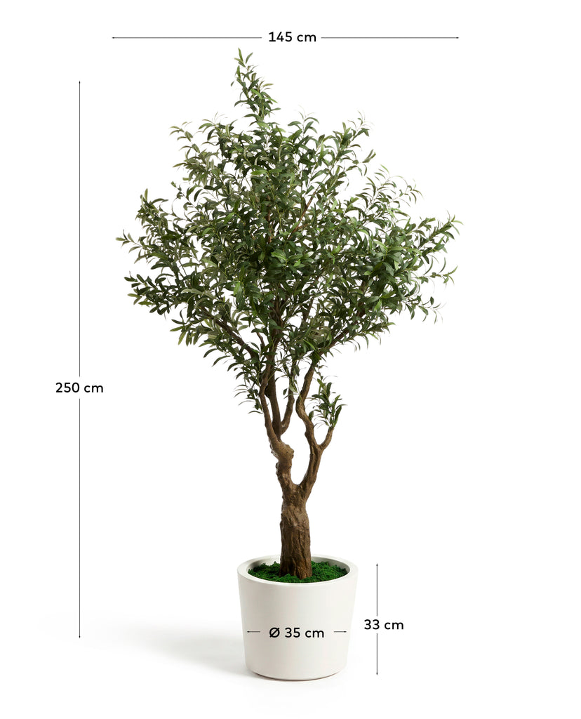 Arbre artificiel Olivo avec pot blanc 250 cm