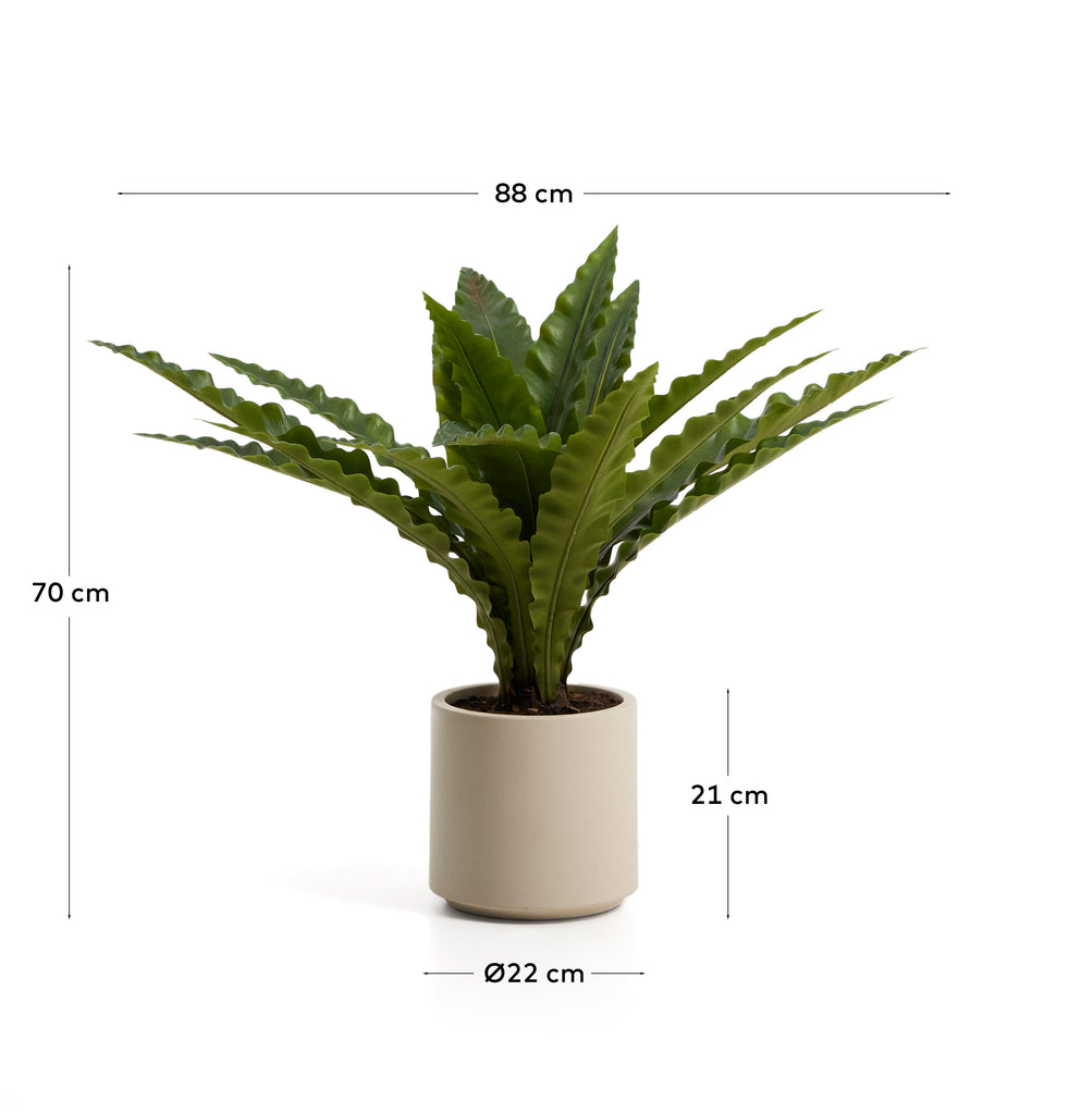 Plante artificielle Neottopteris avec pot blanc 70 cm