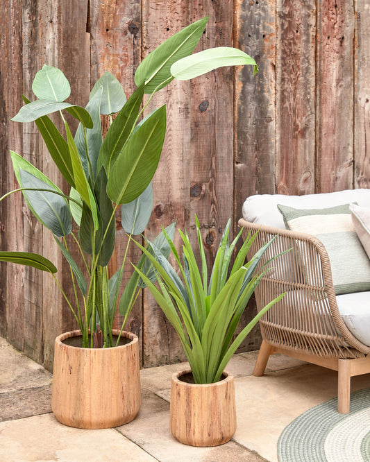 Yucca artificielle Zelena