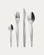 Selua 16-piece stainless steel cutlery set with a glossy finish