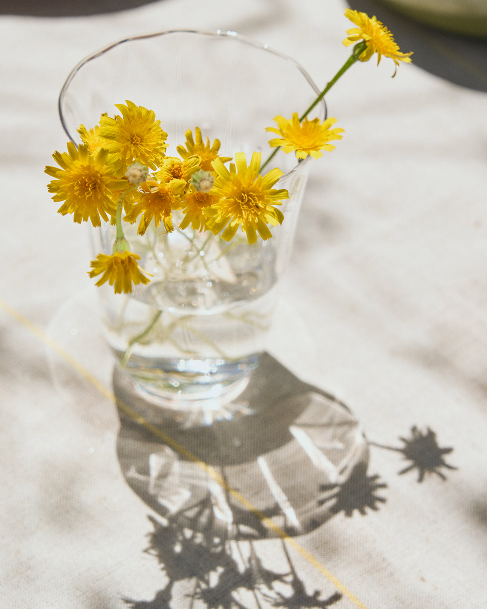 Neia clear glass cup, 23 cl